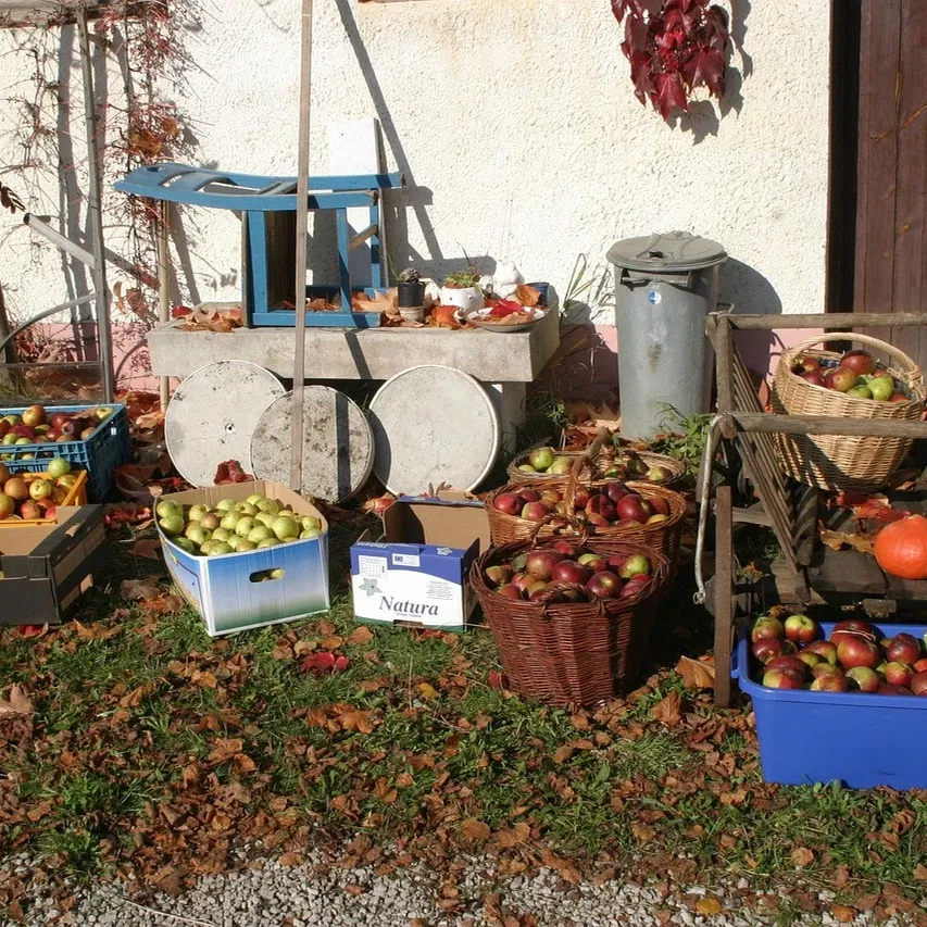 Eierautomat