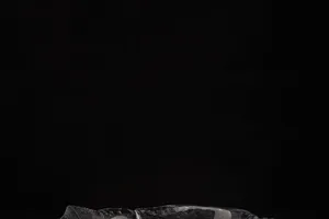 Gastronomiebranchen